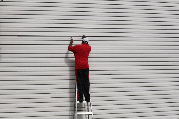 Best Stucco Siding  in Robertsde, AL
